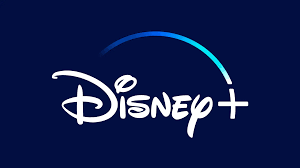 DISNEY+ SUBSCRIPTION